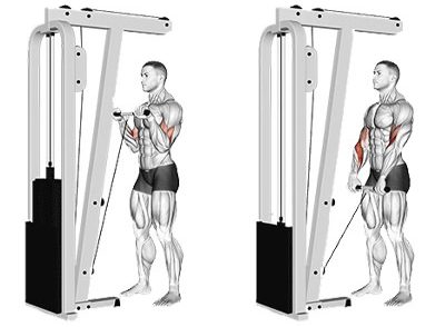 جلو بازو سیمکش دست برعکس